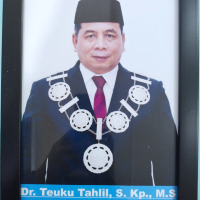 tahlil